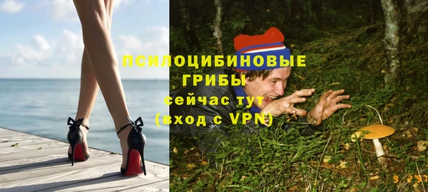 хмурый Зеленодольск