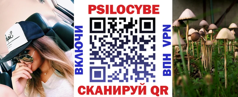 Купить где  Заречный  Псилоцибиновые грибы мицелий 